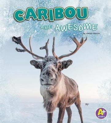 Book cover for Caribou are Awesome (Polar Animals)