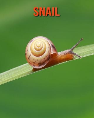 Book cover for Snail