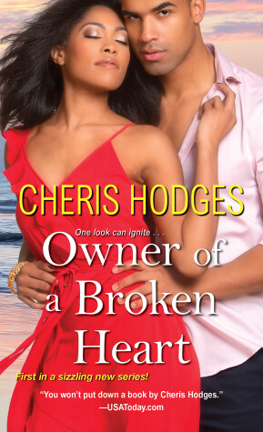 Book cover for Owner Of A Broken Heart