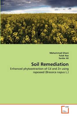 Book cover for Soil Remediation