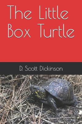 Cover of The Little Box Turtle