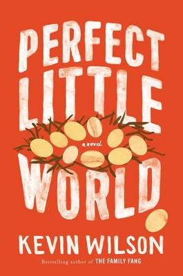 Book cover for Perfect Little World