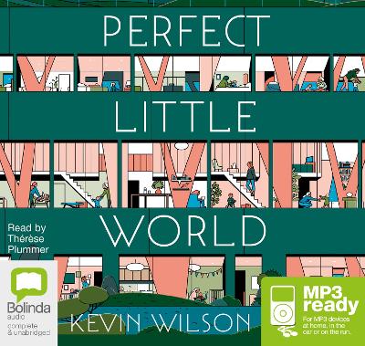 Book cover for Perfect Little World