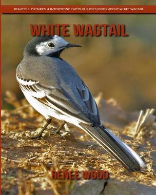 Book cover for White Wagtail