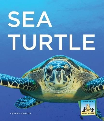 Cover of Sea Turtle