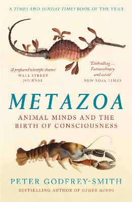 Book cover for Metazoa