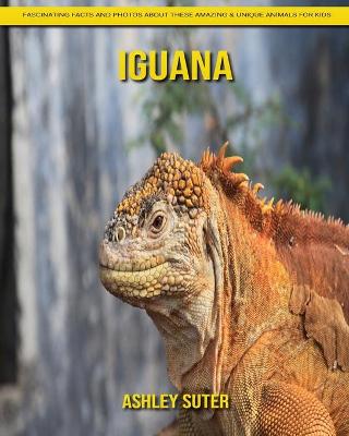 Book cover for Iguana