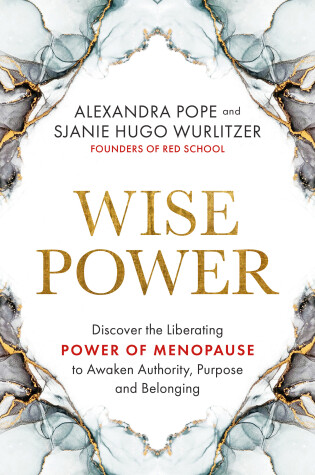 Book cover for Wise Power