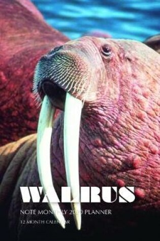 Cover of Walrus Note Monthly 2020 Planner 12 Month Calendar