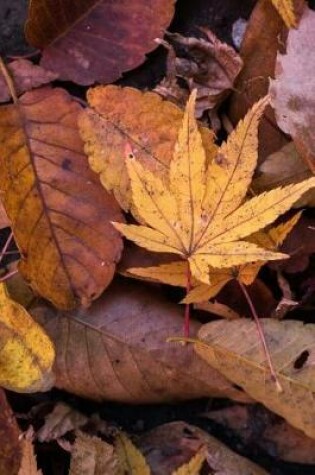 Cover of Fading Autumn Leaves on the Forest Floor Journal