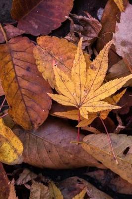 Book cover for Fading Autumn Leaves on the Forest Floor Journal