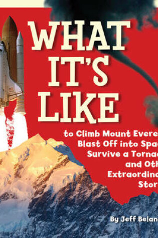 Cover of What it's Like