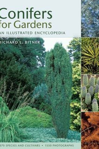 Cover of Conifers for Gardeners   H/B