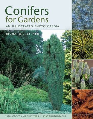 Book cover for Conifers for Gardeners   H/B