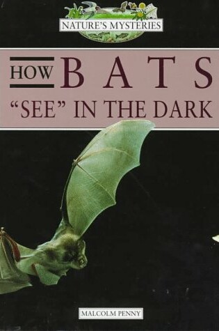 Cover of How Bats See in the Dark