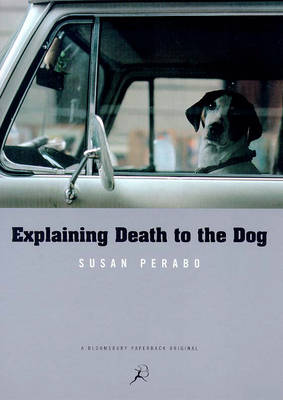 Book cover for Explaining Death to the Dog