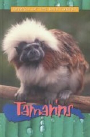 Cover of Tamarins