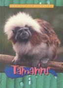 Book cover for Tamarins