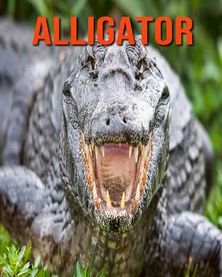 Book cover for Alligator