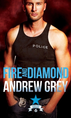 Book cover for Fire and Diamond