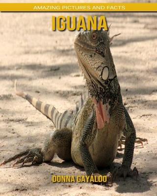 Book cover for Iguana