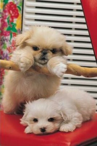 Cover of 2020 Daily Planner Cute Puppies Playing 388 Pages