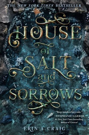 Book cover for House of Salt and Sorrows