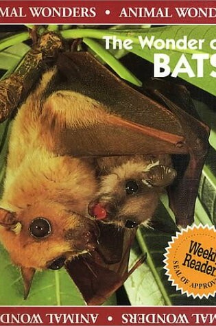 Cover of The Wonder of Bats