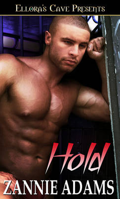 Book cover for Hold