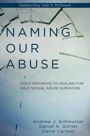Cover of Naming Our Abuse