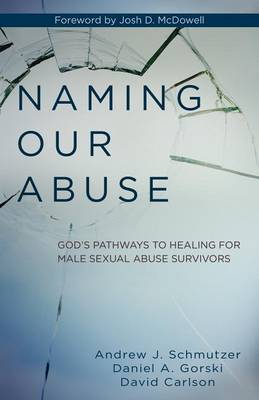 Book cover for Naming Our Abuse