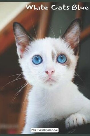 Cover of White Cats Blue Eyes 2021 Wall Calendar