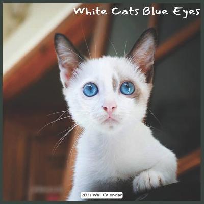 Book cover for White Cats Blue Eyes 2021 Wall Calendar