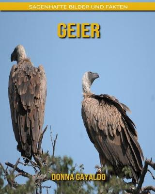 Book cover for Geier