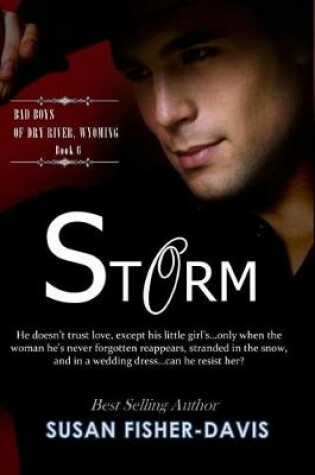 Cover of Storm Bad Boy of Dry River, Wyoming Book 6