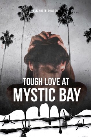 Cover of Tough Love at Mystic Bay