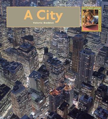 Book cover for A City