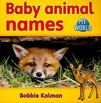 Book cover for Baby animal names