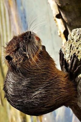 Book cover for The Nutria Water Rat Aka Coypu Rodent Journal