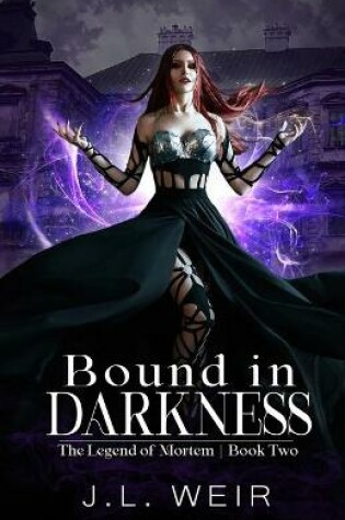 Cover of Bound in Darkness