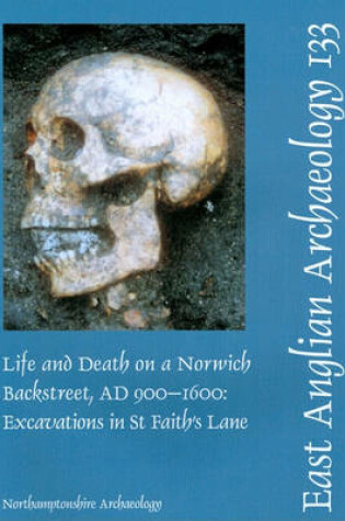 Cover of EAA 133: Life and Death on a Norwich Backstreet AD 900-1600