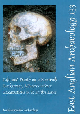 Book cover for EAA 133: Life and Death on a Norwich Backstreet AD 900-1600