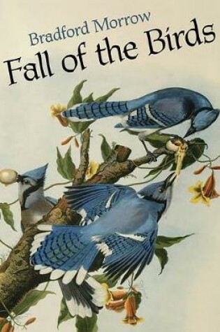 Cover of Fall of the Birds