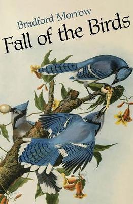 Book cover for Fall of the Birds