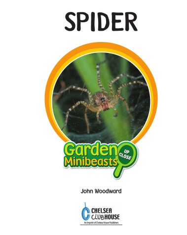 Cover of Spider