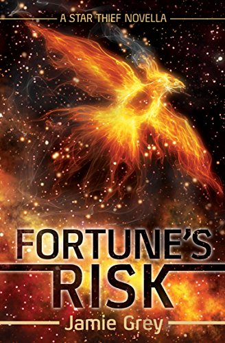 Book cover for Fortune's Risk