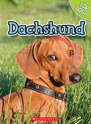 Book cover for Dachshund