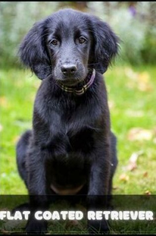 Cover of Flat coated Retriever