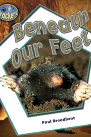 Cover of Beneath Our Feet