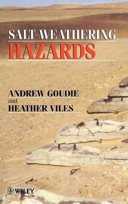 Book cover for Salt Weathering Hazards